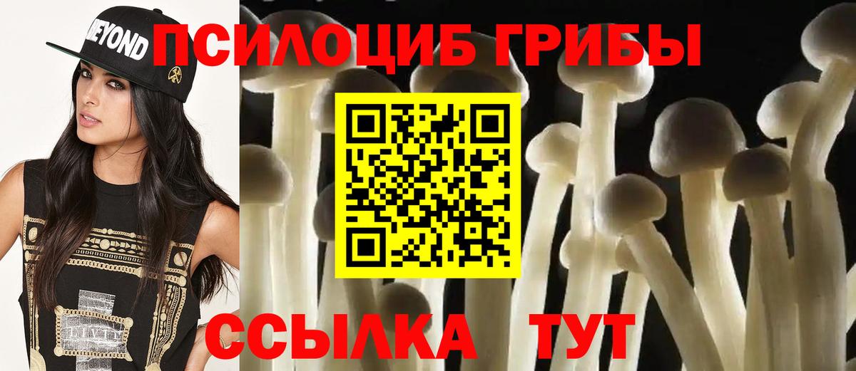 Батайск  Псилоцибиновые грибы MAGIC MUSHROOMS  Вход с VPN 